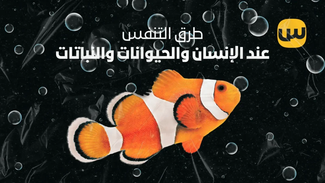 Methods of Respiration in Humans, Animals, and Plants Understanding the Mechanism of Respiration