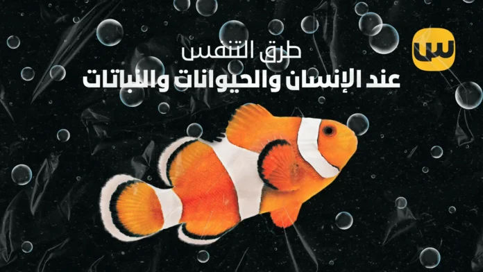 طرق التنفس عند الإنسان والحيوانات والنباتات: فهم آلية التنفس