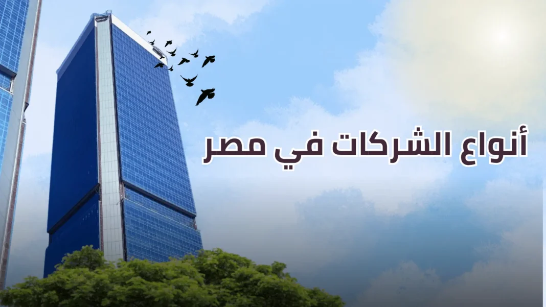 Types of companies in Egypt
